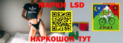стафф Нальчик