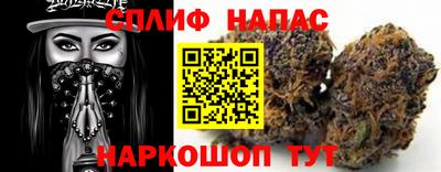 стафф Нальчик