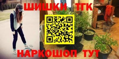 стафф Нальчик