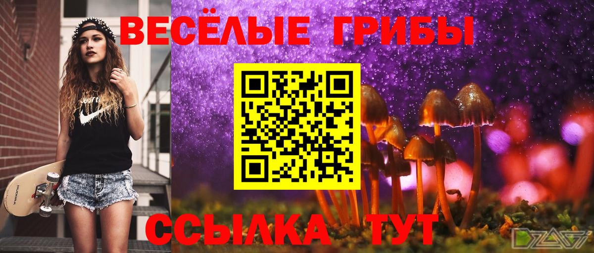Торжок  Галлюциногенные грибы ЛСД  Вход с VPN 