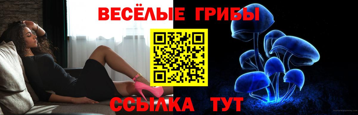 Конопля  Экстази  Торжок  МЕФ кристаллы  Вход с VPN  ГАШ  Амфетамин   COCAIN 